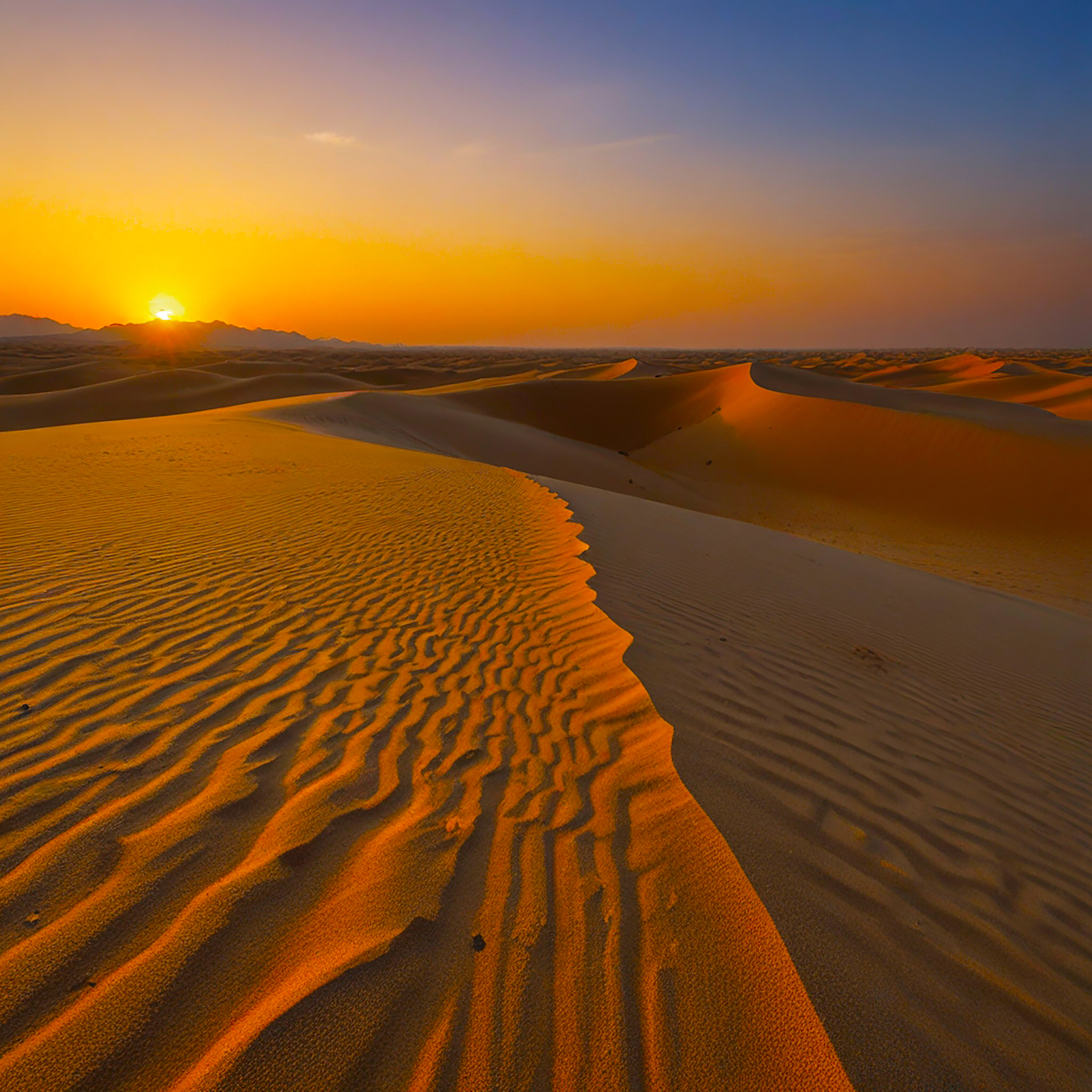 Sahara